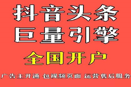 搜索引擎优化（SEO）与竞价广告（SEM）的对比案例