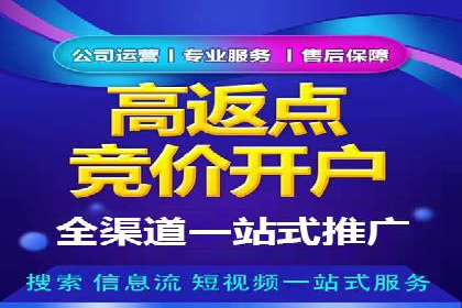 行业领先企业如何运用SEM进行精准营销
